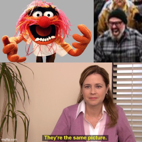 image tagged in animal muppets,jan 6th,memes,they're the same picture | made w/ Imgflip meme maker