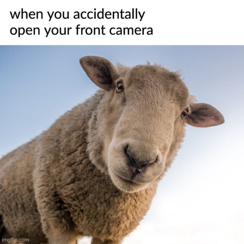front camera | image tagged in camera | made w/ Imgflip meme maker
