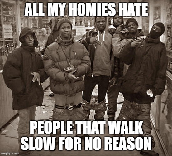 free Amygdalopita | ALL MY HOMIES HATE; PEOPLE THAT WALK SLOW FOR NO REASON | image tagged in all my homies hate | made w/ Imgflip meme maker