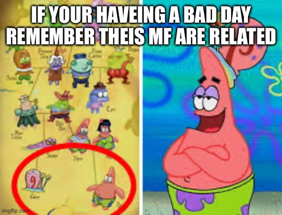 Just remember this when your haveing a bad day | IF YOUR HAVEING A BAD DAY REMEMBER THEIS MF ARE RELATED | image tagged in spongebob,patrick,gary | made w/ Imgflip meme maker