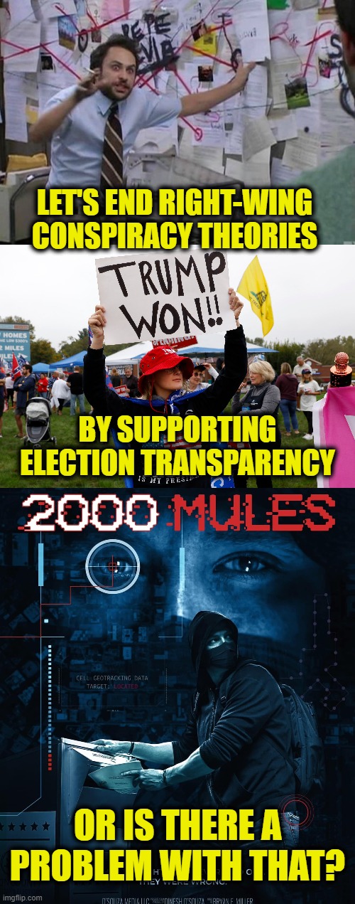 Roaches run from the light | LET'S END RIGHT-WING 
CONSPIRACY THEORIES; BY SUPPORTING
ELECTION TRANSPARENCY; OR IS THERE A PROBLEM WITH THAT? | image tagged in voting,elections | made w/ Imgflip meme maker