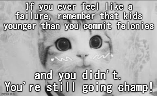 you are still successful in many ways | If you ever feel like a failure, remember that kids younger than you commit felonies; and you didn't. You're still going champ! | image tagged in cute cat uwu,memes,motivational,cute,kitten,failure | made w/ Imgflip meme maker