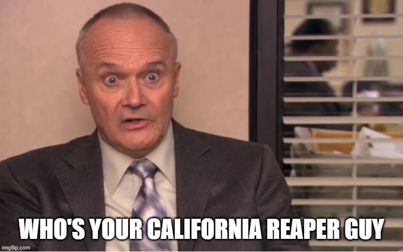 Creed Bratton | WHO'S YOUR CALIFORNIA REAPER GUY | image tagged in creed bratton | made w/ Imgflip meme maker