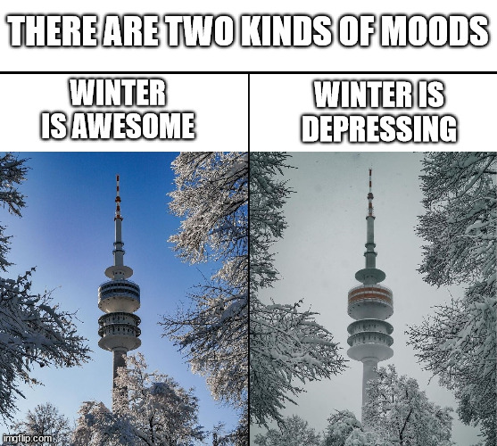 Winter moods be like | THERE ARE TWO KINDS OF MOODS; WINTER IS DEPRESSING; WINTER IS AWESOME | image tagged in germany winter,germany,lattice climbing,meme,memes,funny | made w/ Imgflip meme maker