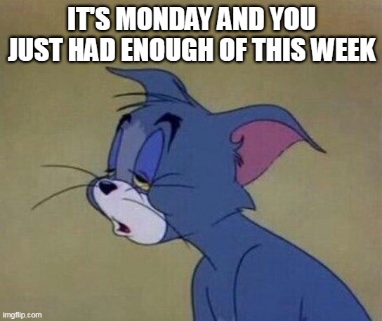 IT'S MONDAY AND YOU JUST HAD ENOUGH OF THIS WEEK | image tagged in funny memes | made w/ Imgflip meme maker
