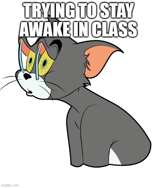 TRYING TO STAY AWAKE IN CLASS | image tagged in funny memes | made w/ Imgflip meme maker