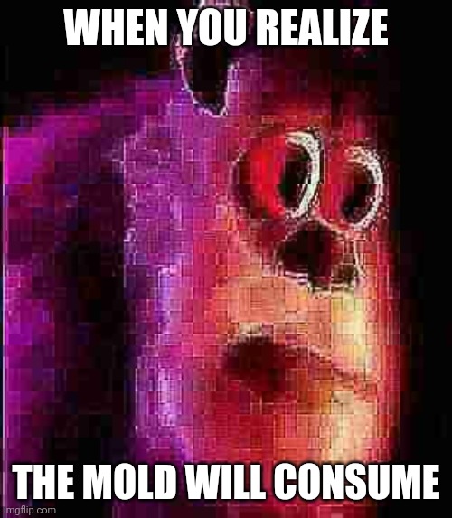 sullivian got shocked | WHEN YOU REALIZE THE MOLD WILL CONSUME | image tagged in sullivian got shocked | made w/ Imgflip meme maker
