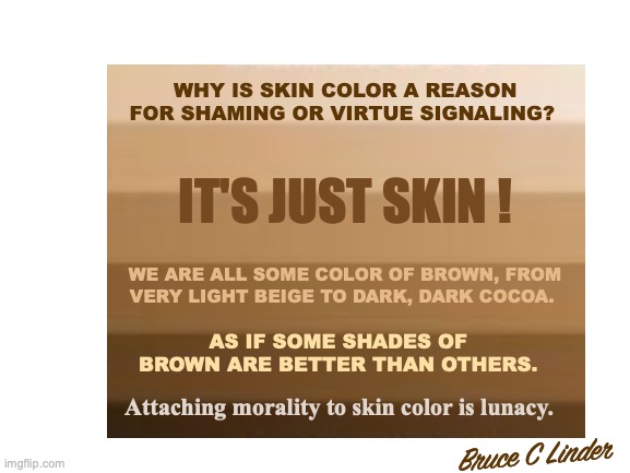 My Brown is Better Than Your Brown | WHY IS SKIN COLOR A REASON
FOR SHAMING OR VIRTUE SIGNALING? IT'S JUST SKIN ! WE ARE ALL SOME COLOR OF BROWN, FROM
VERY LIGHT BEIGE TO DARK, DARK COCOA. AS IF SOME SHADES OF BROWN ARE BETTER THAN OTHERS. Attaching morality to skin color is lunacy. Bruce C Linder | image tagged in skin color,dark cocoa,light beige,virtue shaming,virtue signaling,liberals will be offended by this | made w/ Imgflip meme maker