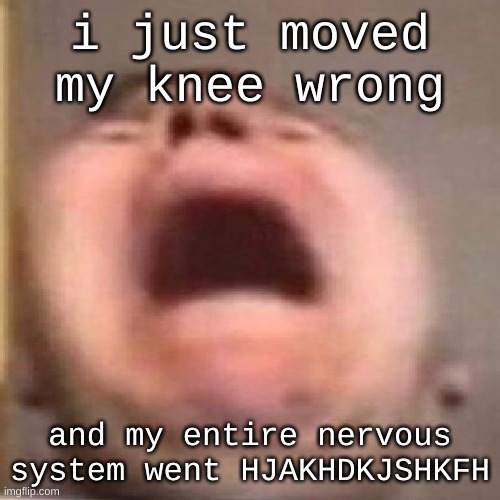 nikocado scream | i just moved my knee wrong; and my entire nervous system went HJAKHDKJSHKFH | image tagged in nikocado scream | made w/ Imgflip meme maker