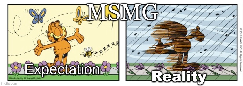 garfield expectation reality | MSMG; Expectation; Reality | image tagged in garfield expectation reality | made w/ Imgflip meme maker