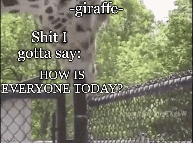 -giraffe- | HOW IS EVERYONE TODAY? | image tagged in -giraffe- | made w/ Imgflip meme maker