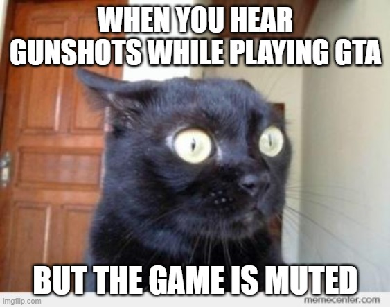 Scared Cat | WHEN YOU HEAR GUNSHOTS WHILE PLAYING GTA; BUT THE GAME IS MUTED | image tagged in scared cat | made w/ Imgflip meme maker