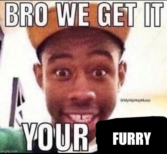 BRO WE GET IT YOU'RE GAY | FURRY | image tagged in bro we get it you're gay | made w/ Imgflip meme maker