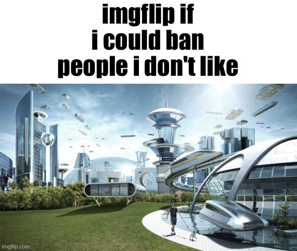 . | imgflip if i could ban people i don't like | made w/ Imgflip meme maker