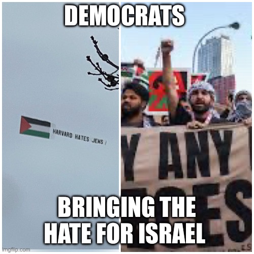 Hey Harvard keeping it real | DEMOCRATS; BRINGING THE HATE FOR ISRAEL | image tagged in truthfully,bad luck brian | made w/ Imgflip meme maker
