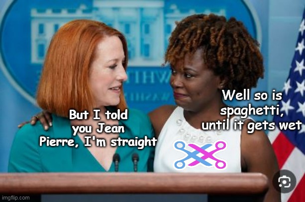 So much more Dignified than that nasty Sarah | Well so is spaghetti, until it gets wet; But I told you Jean Pierre, I'm straight | image tagged in spaghetti wet scissors press sec meme | made w/ Imgflip meme maker