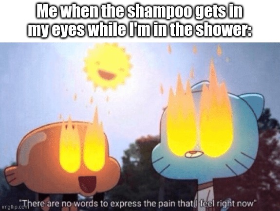 Who agrees that shampoo/soap+eyes=burning sensation? | Me when the shampoo gets in my eyes while I'm in the shower: | image tagged in there are no words to express the pain that i feel right now,relatable memes,ouch,shampoo,fresh memes | made w/ Imgflip meme maker