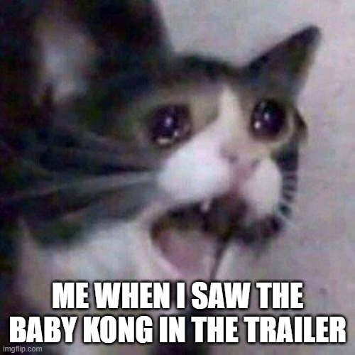 I literally scream "BABYYYYYY" when i first saw him WHY IS HE SO CUTE | ME WHEN I SAW THE BABY KONG IN THE TRAILER | image tagged in screaming cat meme | made w/ Imgflip meme maker
