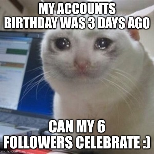 For my 6 follower, but  other can join the party too :) | MY ACCOUNTS BIRTHDAY WAS 3 DAYS AGO; CAN MY 6 FOLLOWERS CELEBRATE :) | image tagged in crying cat | made w/ Imgflip meme maker
