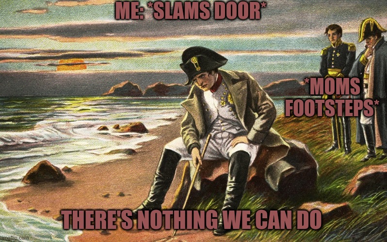There's nothing we can do | ME: *SLAMS DOOR*; *MOMS FOOTSTEPS*; THERE'S NOTHING WE CAN DO | image tagged in napoleon,mom,the end is near,funny,angry | made w/ Imgflip meme maker