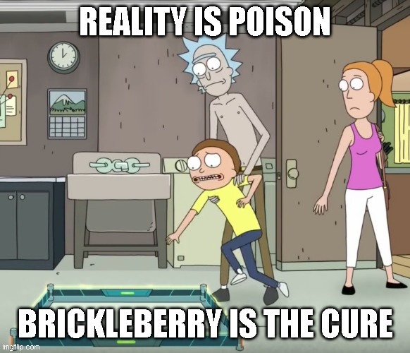 Morty wants more Brickleberry | REALITY IS POISON; BRICKLEBERRY IS THE CURE | image tagged in reality is poison,brickleberry,rick and morty,we want more | made w/ Imgflip meme maker