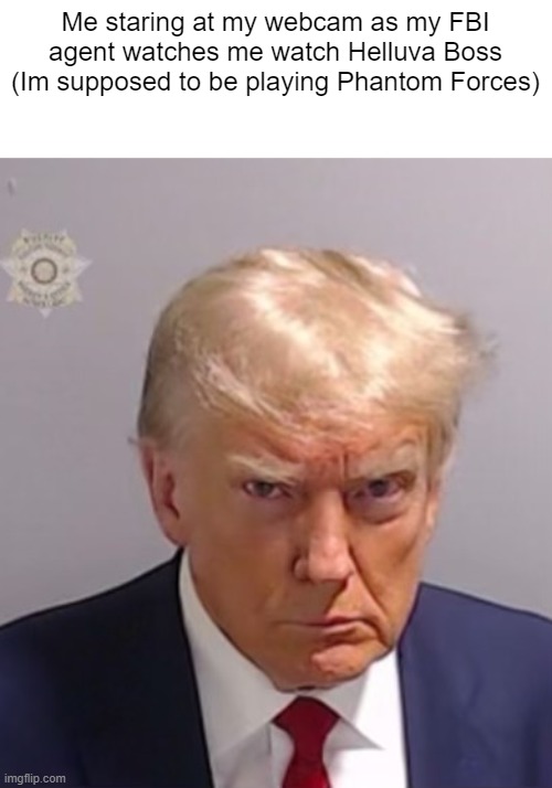 Donald Trump Mugshot | Me staring at my webcam as my FBI agent watches me watch Helluva Boss (Im supposed to be playing Phantom Forces) | image tagged in donald trump mugshot | made w/ Imgflip meme maker