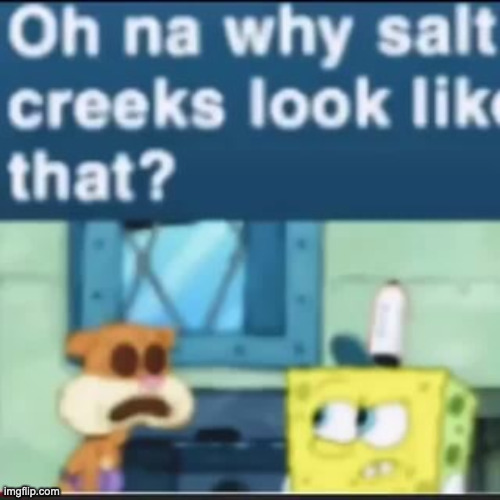 oh na why salt creeks look like that | image tagged in oh na why salt creeks look like that | made w/ Imgflip meme maker