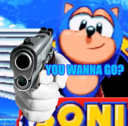 YOU WANNA GO? | image tagged in sonic with gun | made w/ Imgflip meme maker