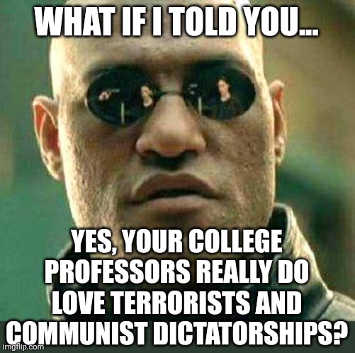Ok... are there any ivy league colleges that DON'T have pro-terrorist, pro-communist, pro-one party dictatorship teachers???? | WHAT IF I TOLD YOU... YES, YOUR COLLEGE PROFESSORS REALLY DO LOVE TERRORISTS AND COMMUNIST DICTATORSHIPS? | image tagged in what if i told you,college liberal,college,the truth,teachers,brainwashing | made w/ Imgflip meme maker