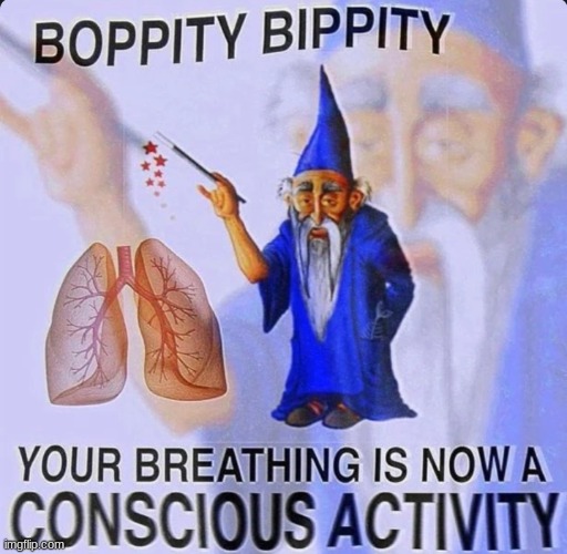 *inhale* | image tagged in your breathing is now a conscious activity | made w/ Imgflip meme maker