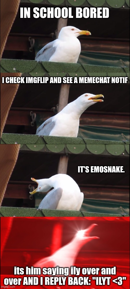 So true. (this meme is for 'em ofc lol) | IN SCHOOL BORED; I CHECK IMGFLIP AND SEE A MEMECHAT NOTIF; IT'S EMOSNAKE. its him saying ily over and over AND I REPLY BACK: "ILYT <3" | image tagged in memes,inhaling seagull,love you | made w/ Imgflip meme maker