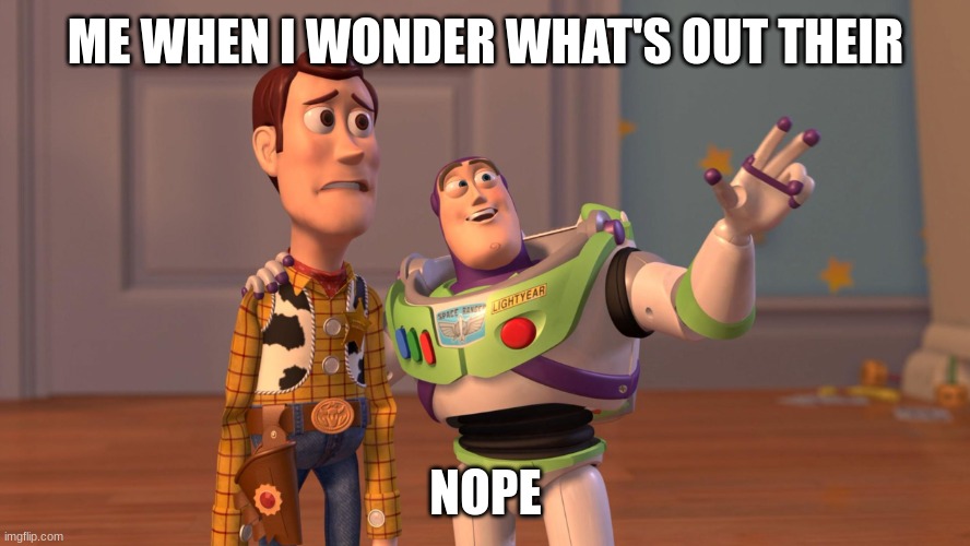 djnfkj | ME WHEN I WONDER WHAT'S OUT THEIR; NOPE | image tagged in woody and buzz lightyear everywhere widescreen | made w/ Imgflip meme maker