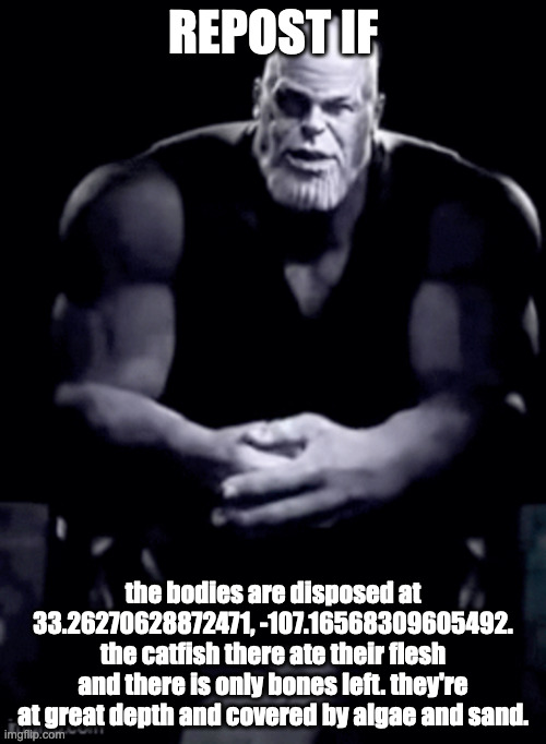 thanos explaining himself | REPOST IF; the bodies are disposed at 33.26270628872471, -107.16568309605492. the catfish there ate their flesh and there is only bones left. they're at great depth and covered by algae and sand. | image tagged in thanos explaining himself | made w/ Imgflip meme maker