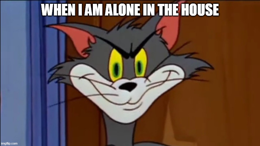 WHEN I AM ALONE IN THE HOUSE | image tagged in funny memes | made w/ Imgflip meme maker