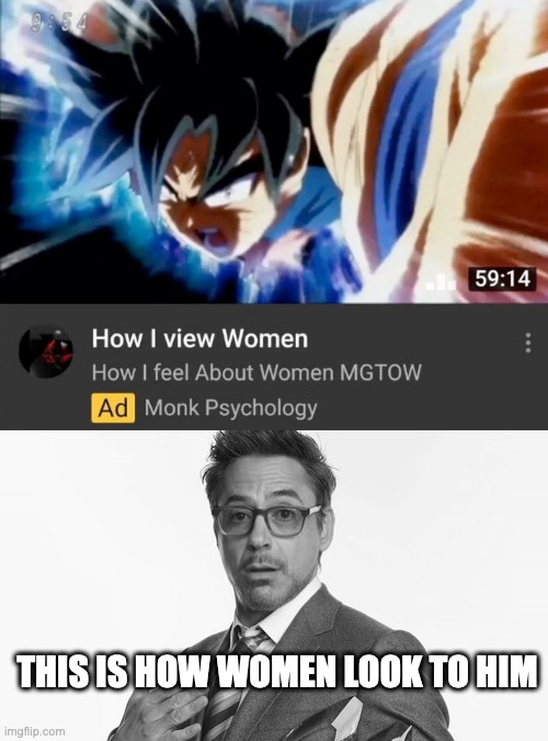 THIS IS HOW WOMEN LOOK TO HIM | image tagged in how i view women,robert downey jr's comments | made w/ Imgflip meme maker
