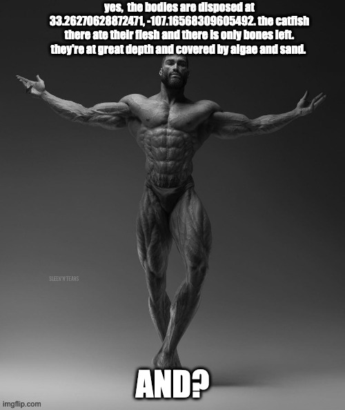 gigachad arms out | yes,  the bodies are disposed at 33.26270628872471, -107.16568309605492. the catfish there ate their flesh and there is only bones left. they're at great depth and covered by algae and sand. AND? | image tagged in gigachad arms out | made w/ Imgflip meme maker