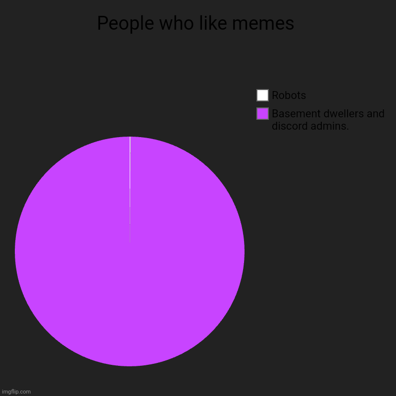 People who like memes | Basement dwellers and discord admins., Robots | image tagged in charts,pie charts | made w/ Imgflip chart maker