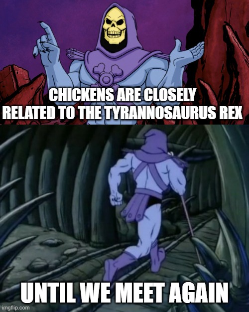 Skeletor until we meet again | CHICKENS ARE CLOSELY RELATED TO THE TYRANNOSAURUS REX; UNTIL WE MEET AGAIN | image tagged in skeletor until we meet again | made w/ Imgflip meme maker