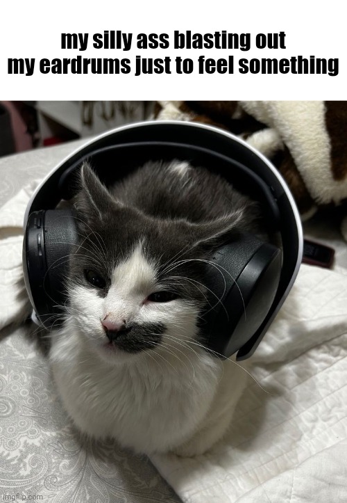 my silly ass blasting out my eardrums just to feel something | made w/ Imgflip meme maker