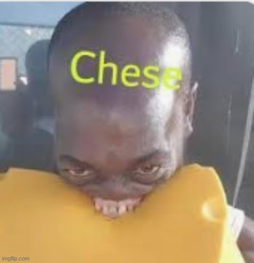 Chese | image tagged in no bitches | made w/ Imgflip meme maker