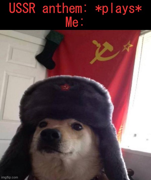 Its catchy and patrotic, wtf is the American psyops doing?! | USSR anthem: *plays*
Me: | image tagged in russian doge | made w/ Imgflip meme maker