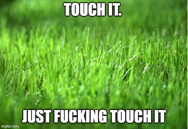 grass is greener | TOUCH IT. JUST FUCKING TOUCH IT | image tagged in grass is greener | made w/ Imgflip meme maker