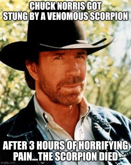 nothing kills chuck norris | CHUCK NORRIS GOT STUNG BY A VENOMOUS SCORPION; AFTER 3 HOURS OF HORRIFYING PAIN...THE SCORPION DIED | image tagged in memes,chuck norris | made w/ Imgflip meme maker