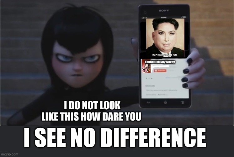 Who’s this?! | TheRealMaveyWavey; I DO NOT LOOK LIKE THIS HOW DARE YOU; I SEE NO DIFFERENCE | image tagged in who s this | made w/ Imgflip meme maker