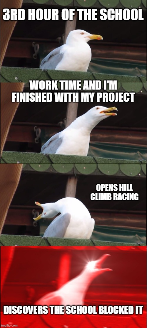 oh boy i flipping hate unity point | 3RD HOUR OF THE SCHOOL; WORK TIME AND I'M FINISHED WITH MY PROJECT; OPENS HILL CLIMB RACING; DISCOVERS THE SCHOOL BLOCKED IT | image tagged in memes,inhaling seagull,school sucks | made w/ Imgflip meme maker