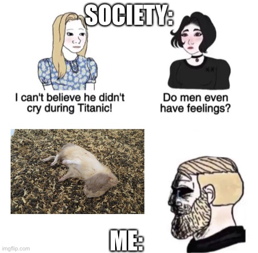 Chad crying | SOCIETY:; ME: | image tagged in chad crying | made w/ Imgflip meme maker