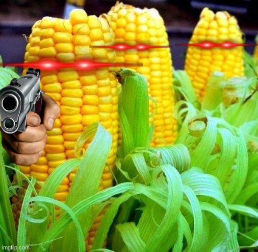 CORN | image tagged in corn meme | made w/ Imgflip meme maker