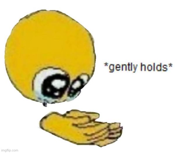 holds gently | image tagged in holds gently | made w/ Imgflip meme maker