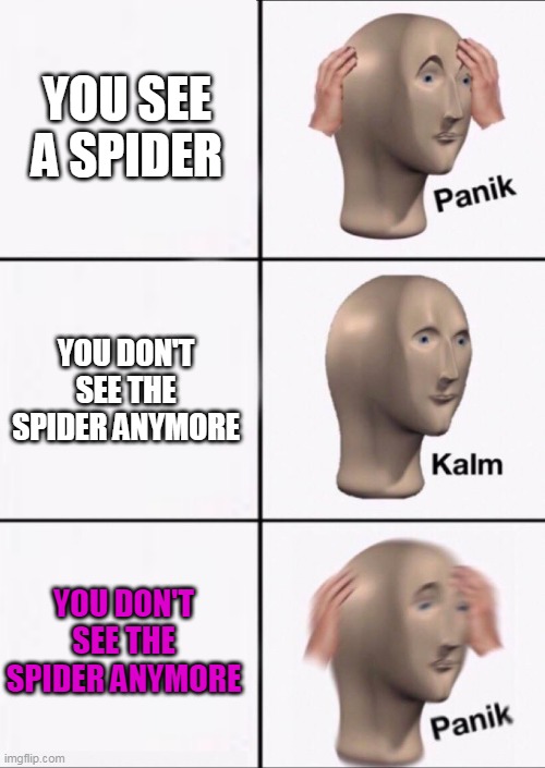 Stonks Panic Calm Panic | YOU SEE A SPIDER; YOU DON'T SEE THE SPIDER ANYMORE; YOU DON'T SEE THE SPIDER ANYMORE | image tagged in stonks panic calm panic | made w/ Imgflip meme maker