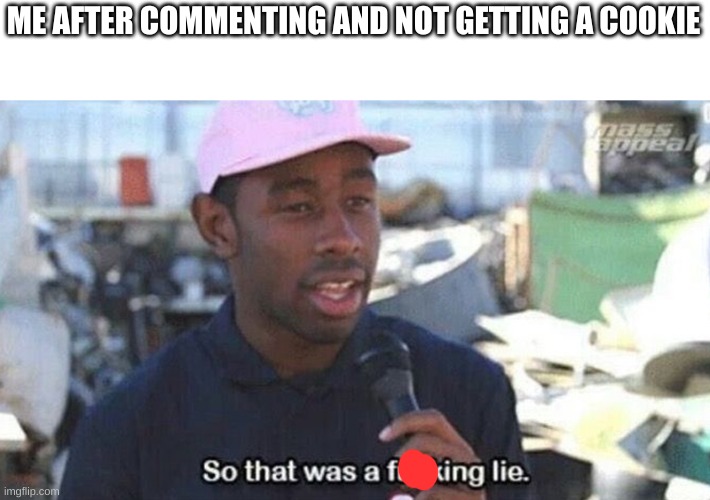So that was a f***ing lie | ME AFTER COMMENTING AND NOT GETTING A COOKIE | image tagged in so that was a f ing lie | made w/ Imgflip meme maker